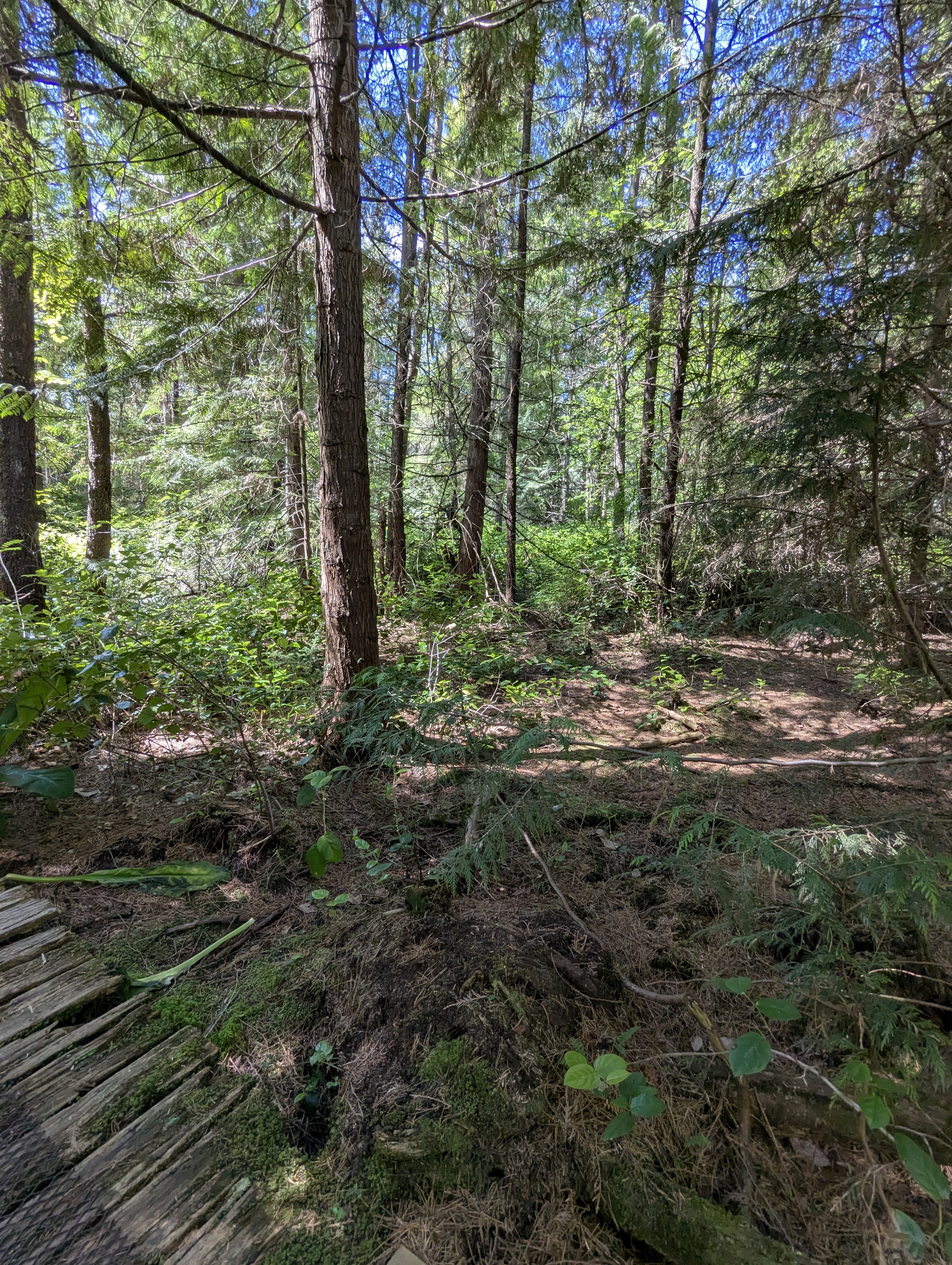 Birthday Trip to Canada, Delta, Burns Bog, Vancouver, British Columbia